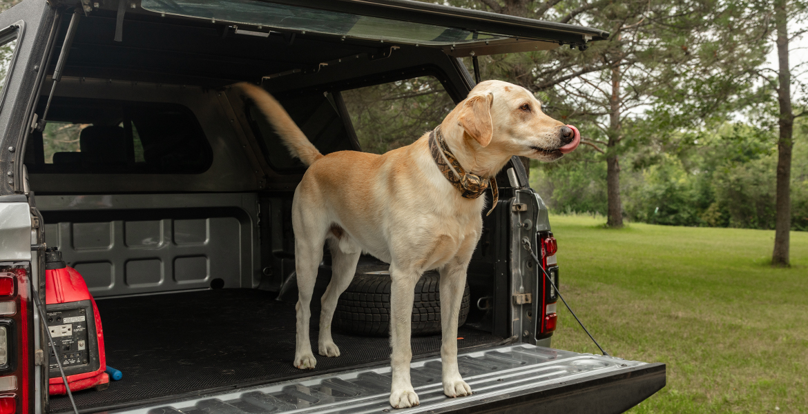 ACCESS Truck Bed Mat 3